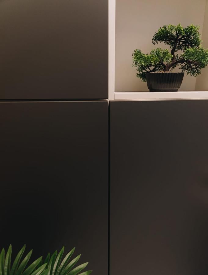 Tulip Apartment Oradea Zewnętrze zdjęcie